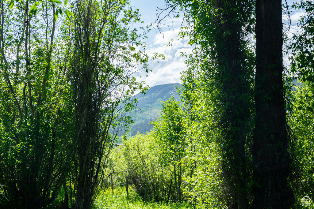 5050 E WEBER CANYON RD Oakley, UT 84055