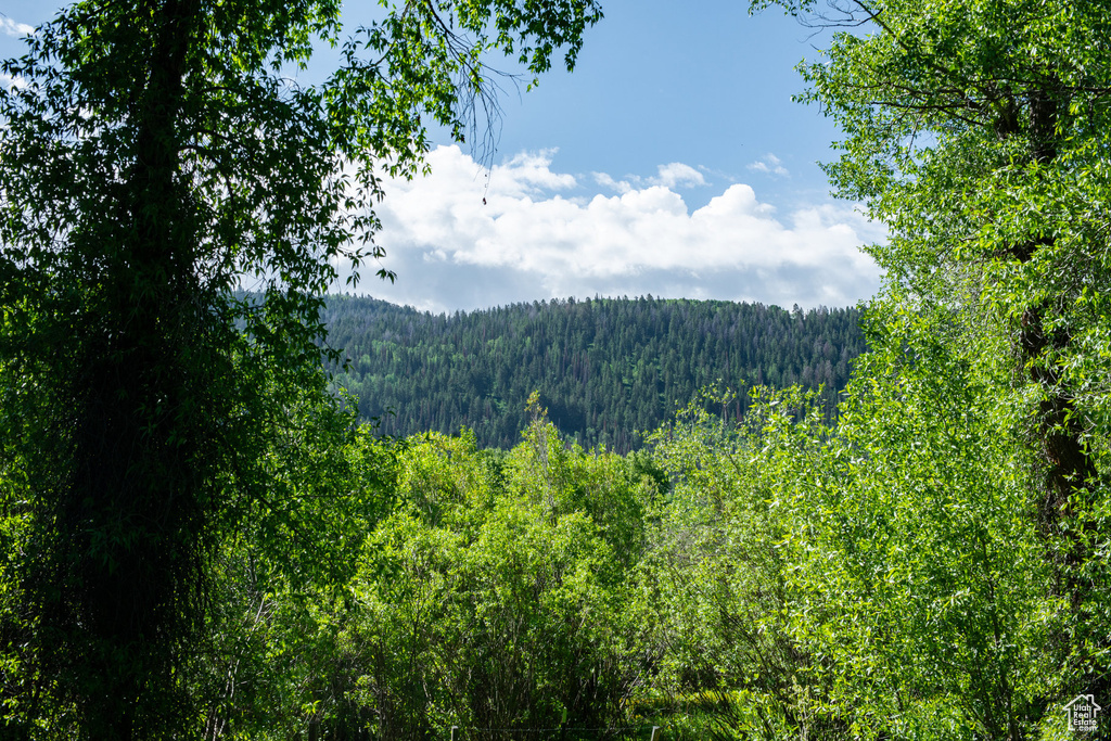 5050 E WEBER CANYON RD Oakley, UT 84055