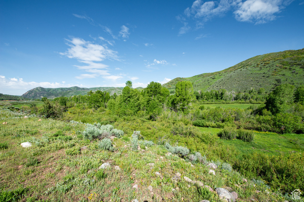 5050 E WEBER CANYON RD Oakley, UT 84055