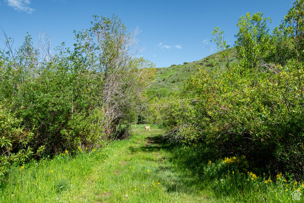 5050 E WEBER CANYON RD Oakley, UT 84055