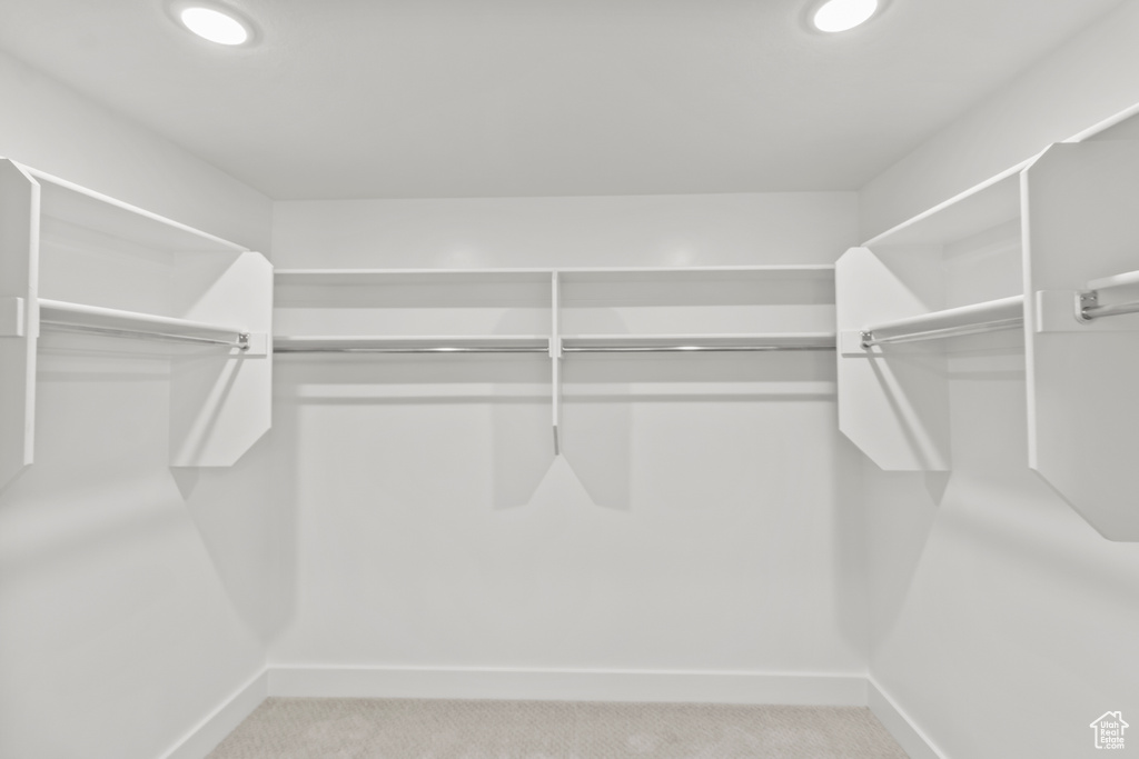 Spacious closet featuring carpet floors