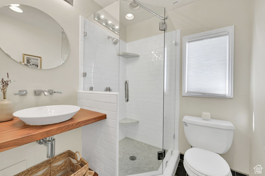 Full bathroom with a sink, toilet, and a shower stall
