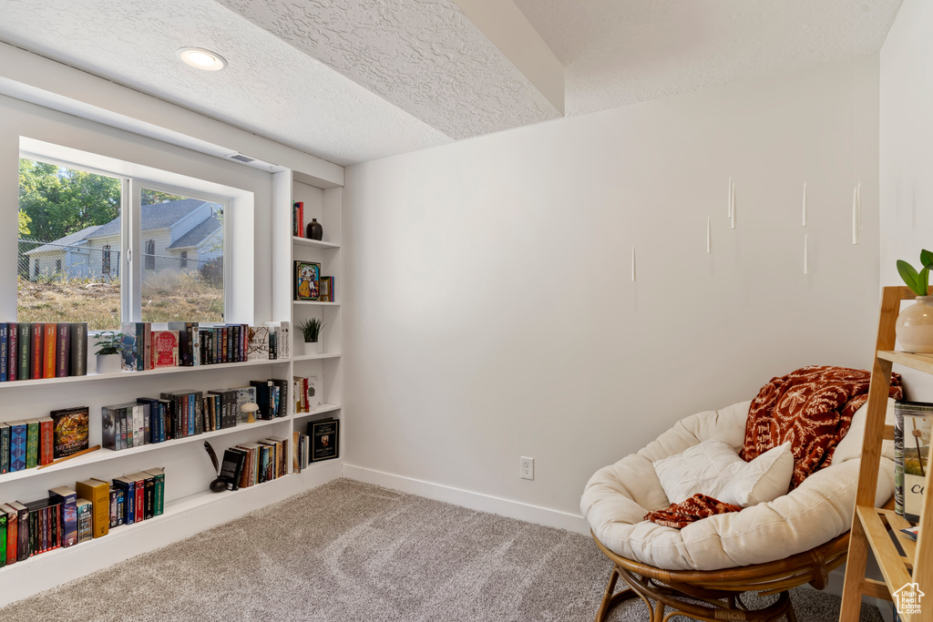 Living area featuring carpet floors, baseboards, a textured ceiling, and built in shelves
