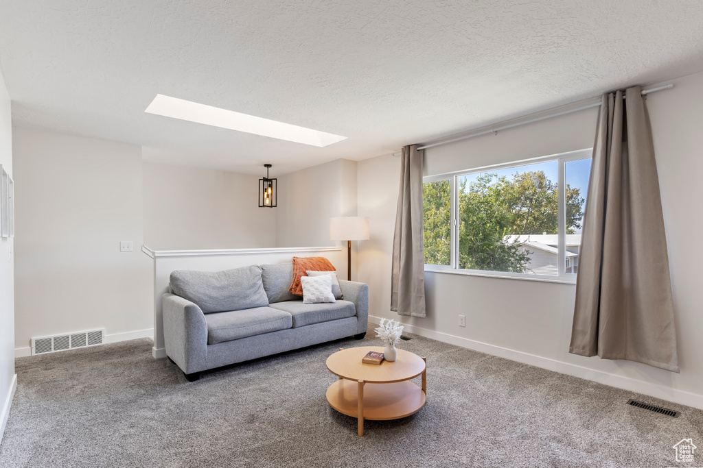 Living area featuring carpet, visible vents, baseboards, and a skylight