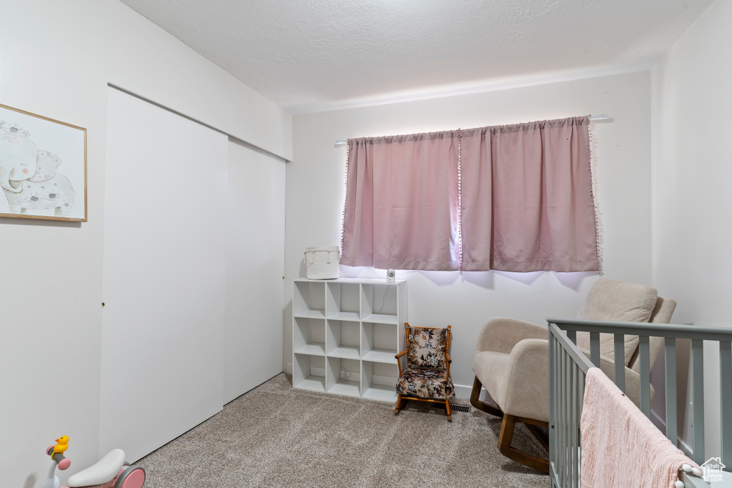 Carpeted bedroom with a nursery area and a closet