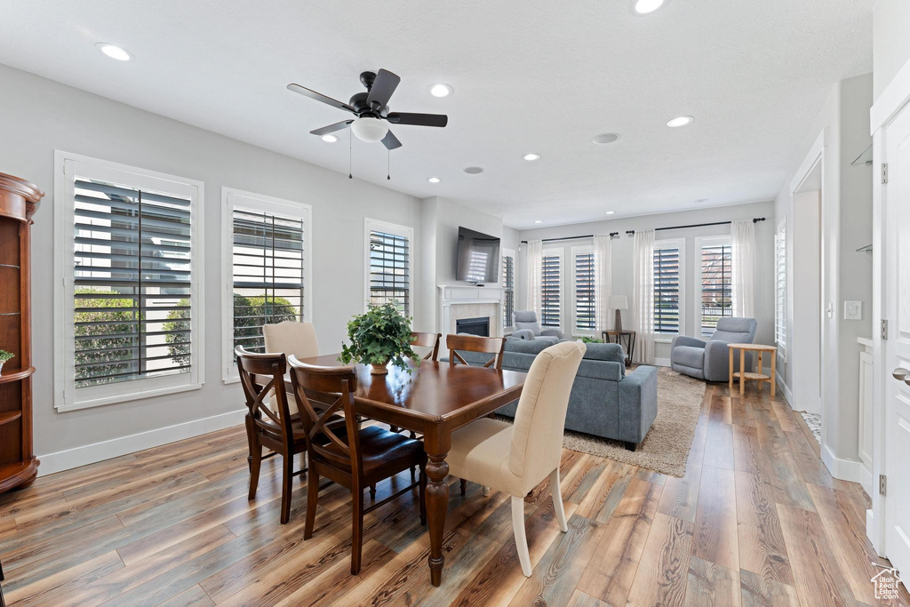 Dining room with plenty of natural light, a fireplace, light wood-style floors, and a ceiling fan