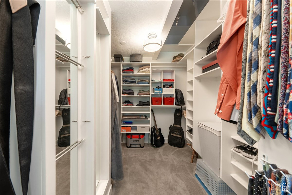 Spacious closet featuring carpet