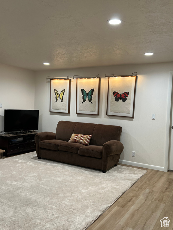 Living area with wood finished floors, baseboards, and recessed lighting