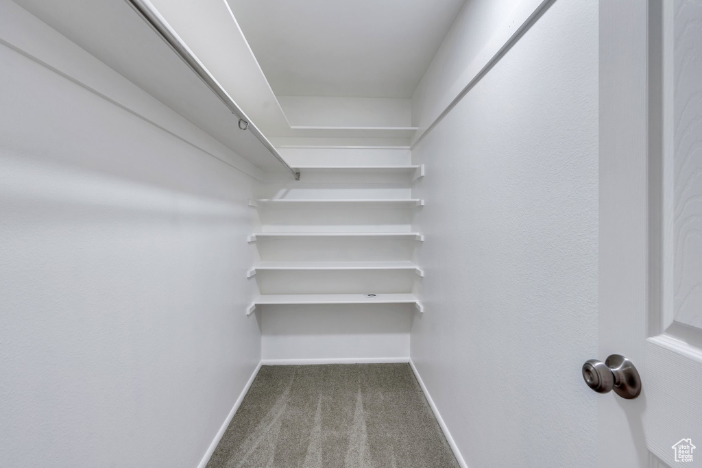 Spacious closet featuring carpet floors
