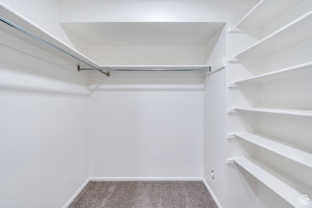 Spacious closet with carpet