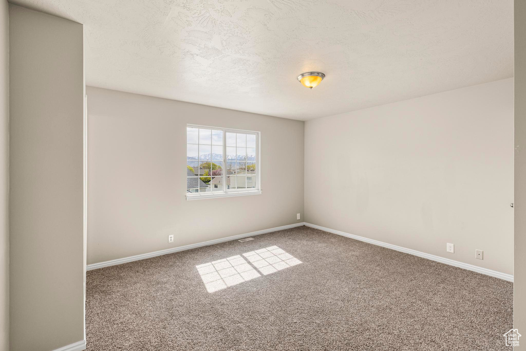 Carpeted spare room with a textured ceiling and baseboards