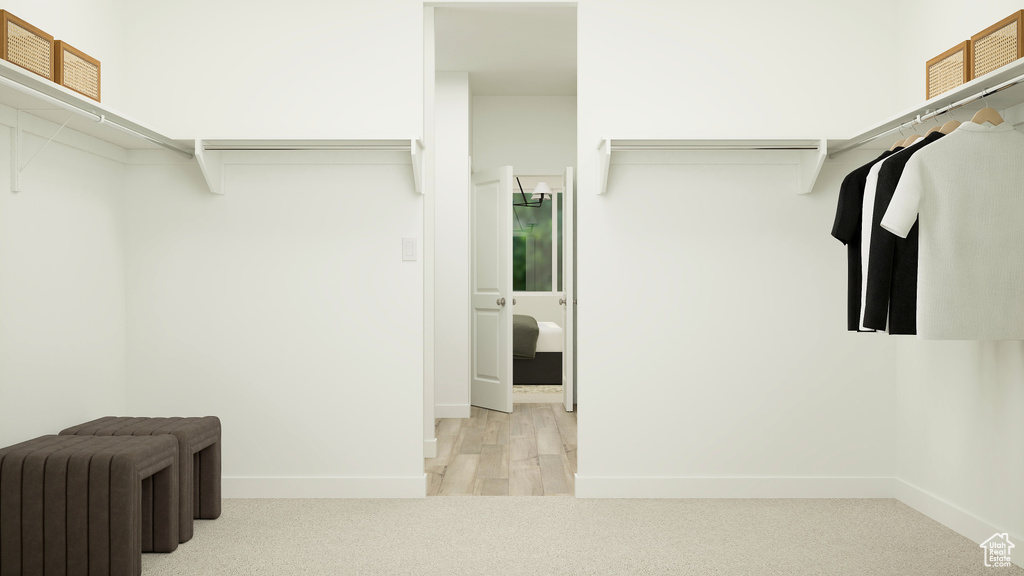 Walk in closet featuring wood finished floors and carpet floors