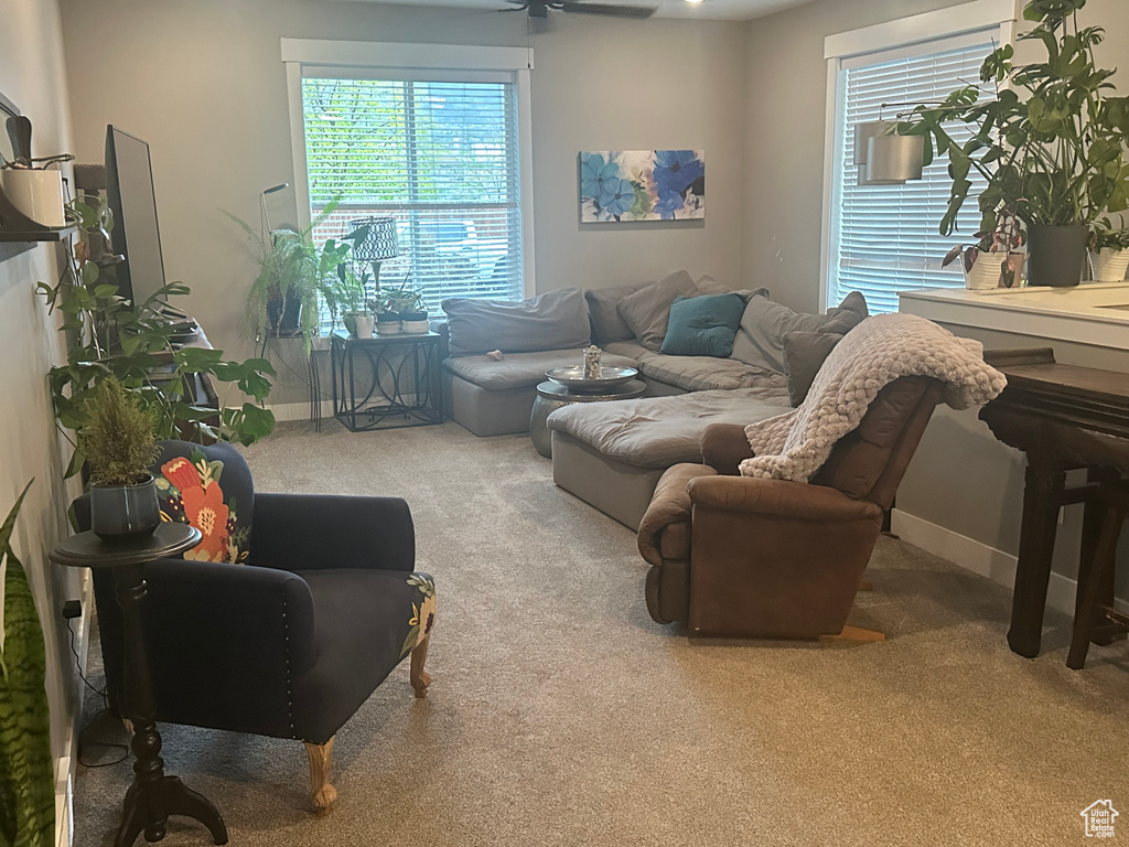 Living area featuring a wealth of natural light, a ceiling fan, and carpet flooring