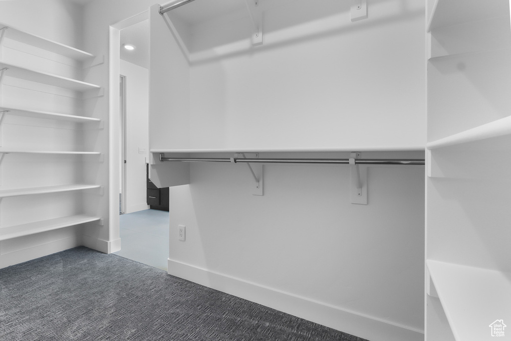 Walk in closet with carpet flooring