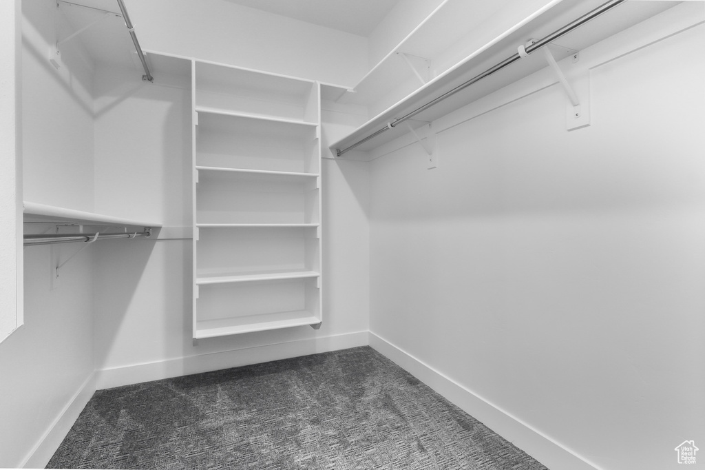 Spacious closet featuring dark carpet