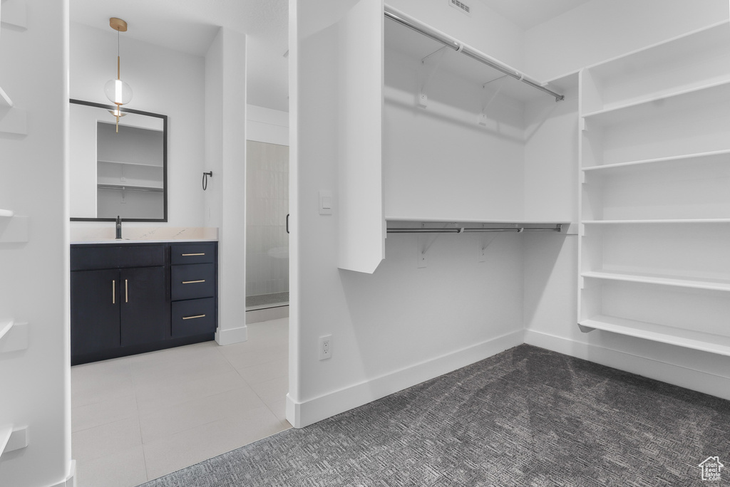 Spacious closet featuring a sink and carpet flooring