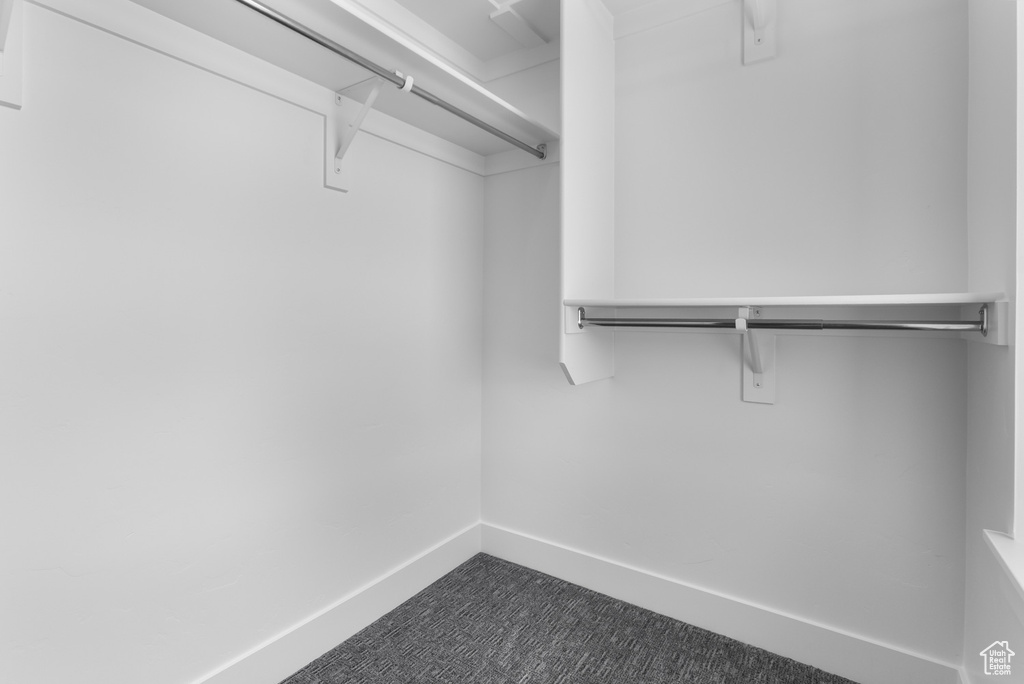 Spacious closet with dark carpet