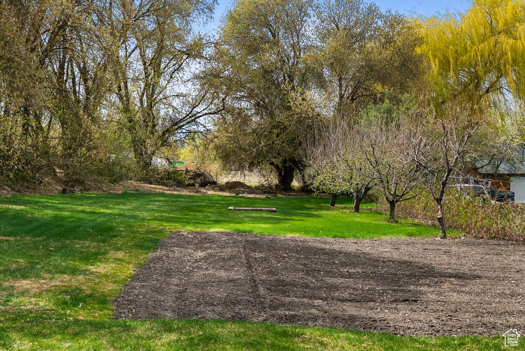 View of property's community with a lawn