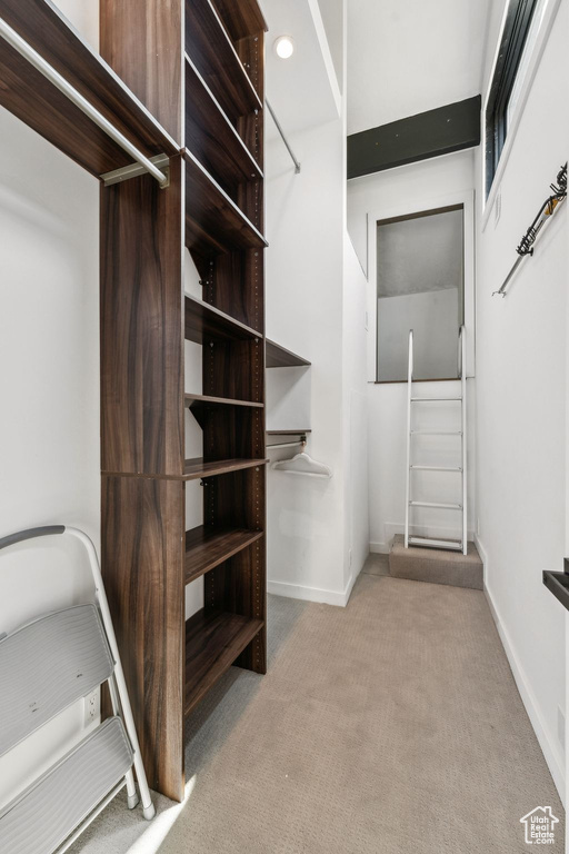 Spacious closet featuring carpet floors