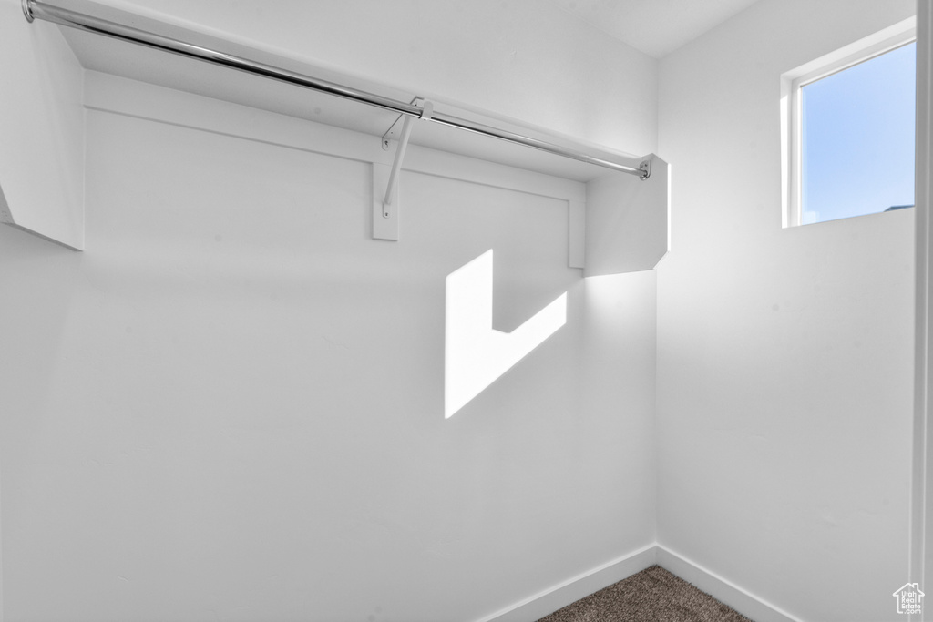 Walk in closet featuring carpet floors