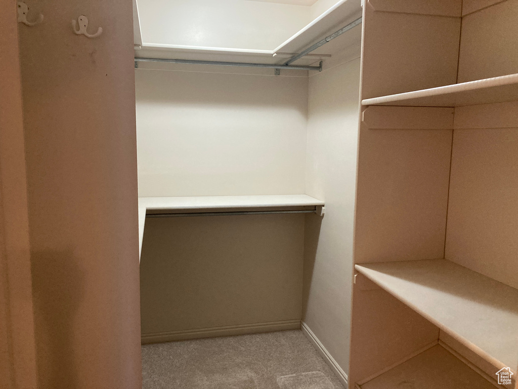 Walk in closet featuring carpet