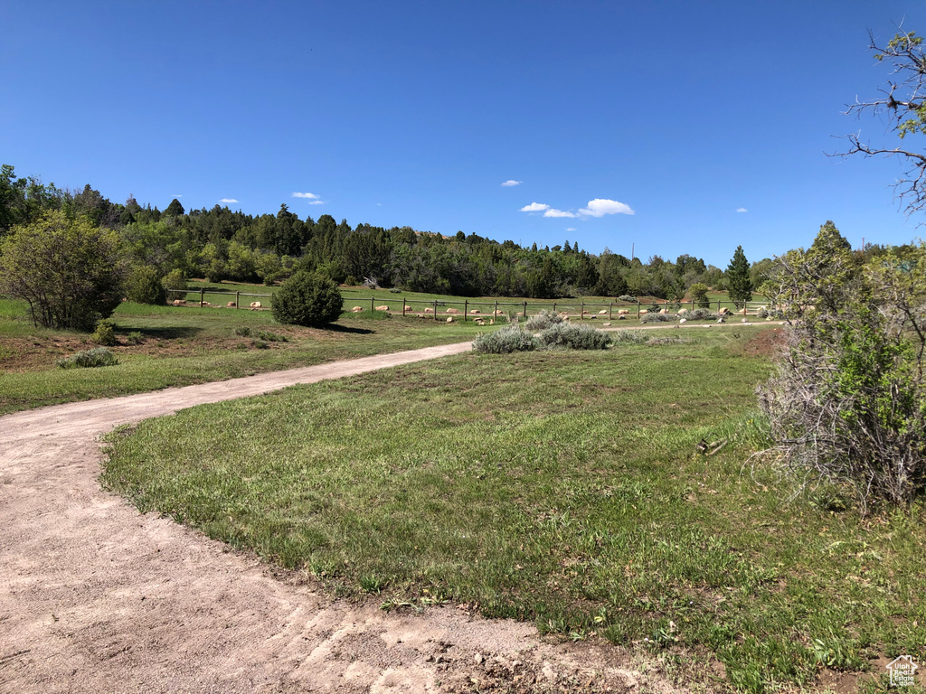 View of yard with a view of rural / pastoral area