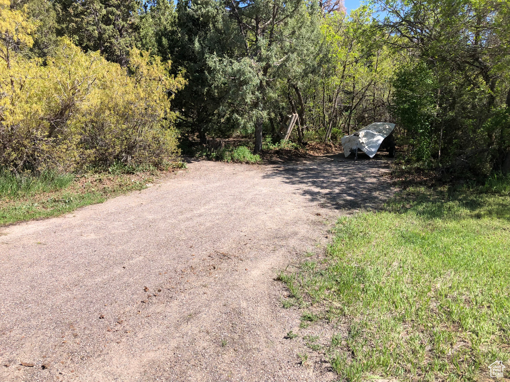 View of road featuring a wooded view