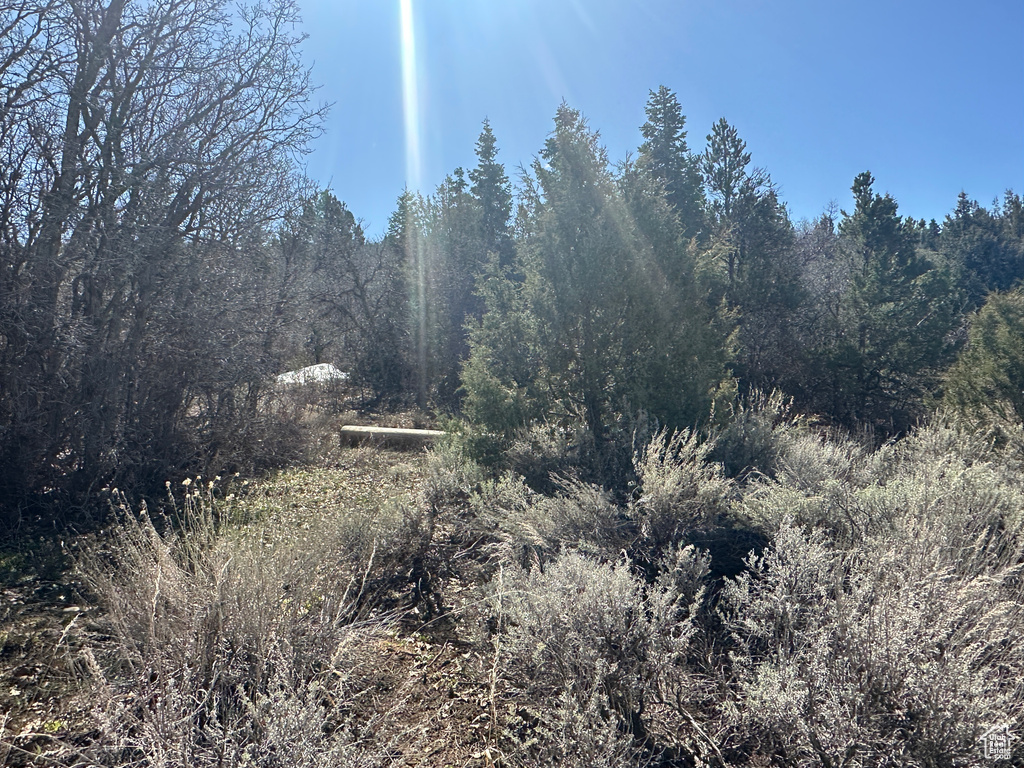 View of landscape with a view of trees