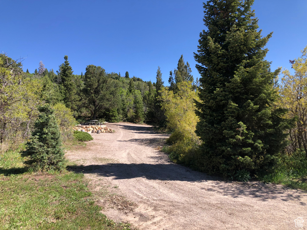 View of dirt / gravel road with a wooded view