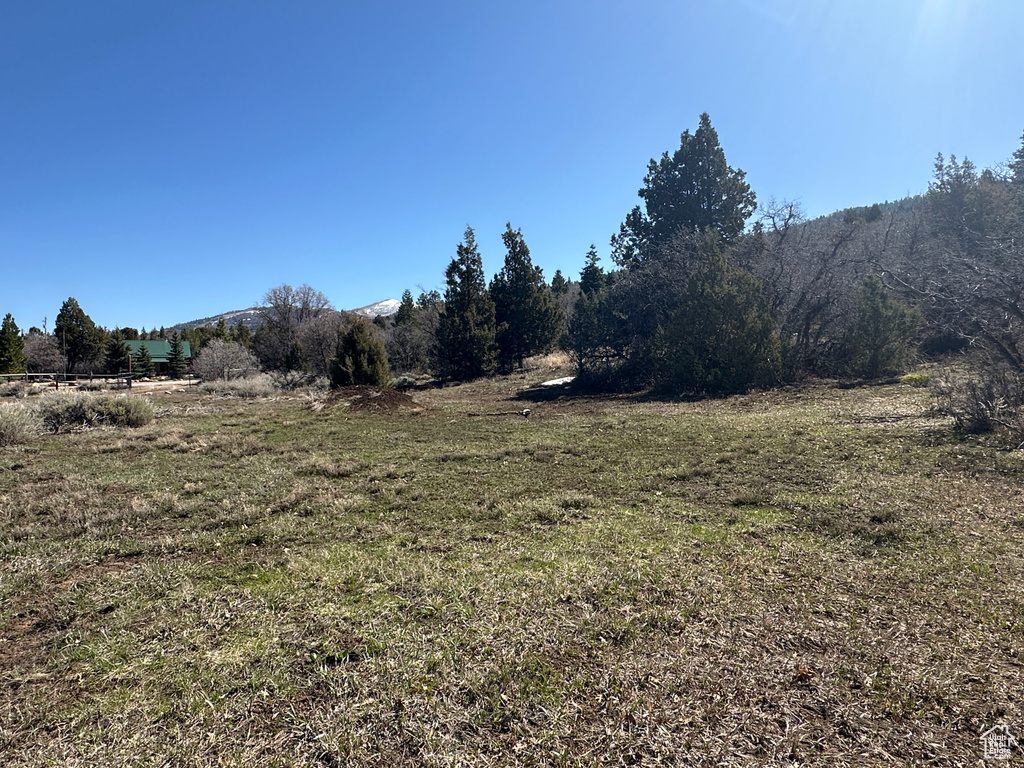 View of landscape featuring a rural view