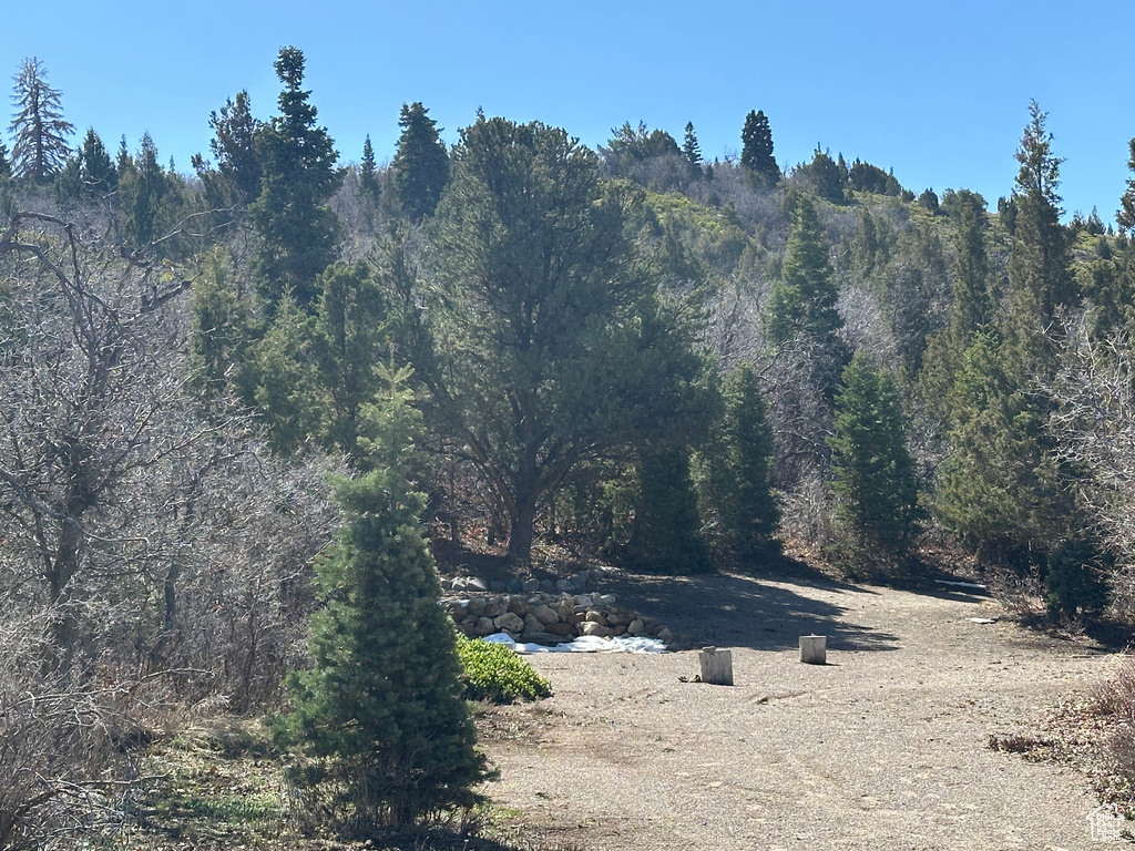 View of nature with a wooded view