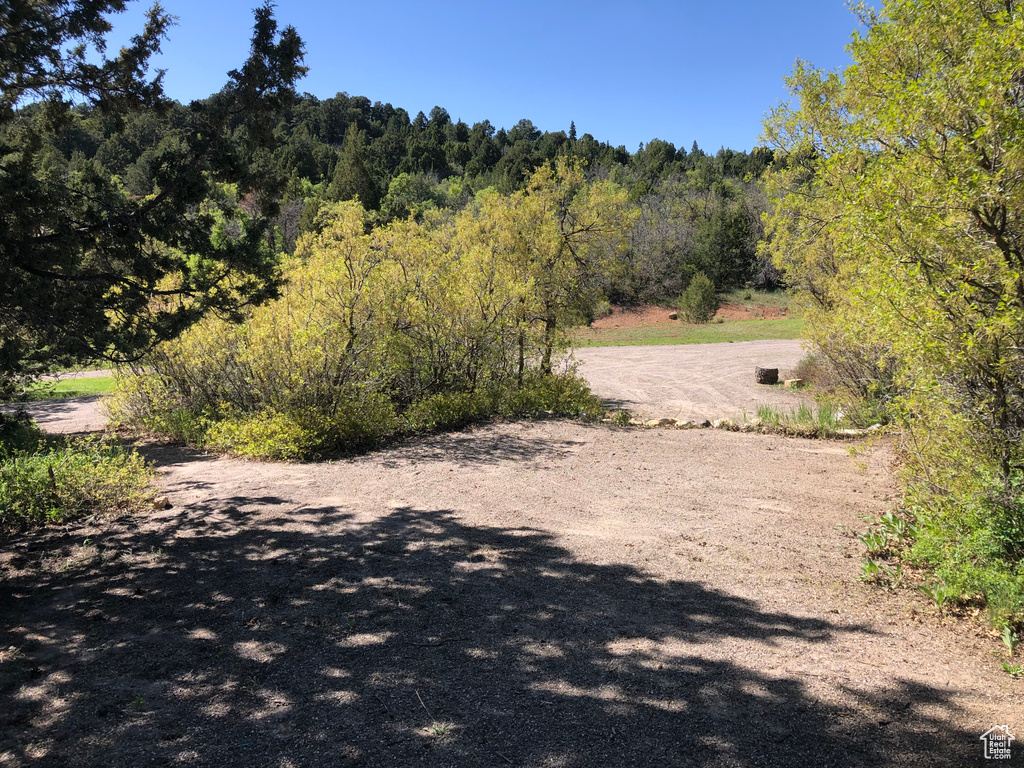 View of road with a view of trees