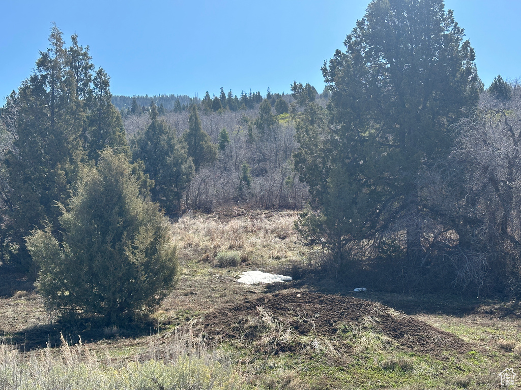 View of nature featuring a view of trees