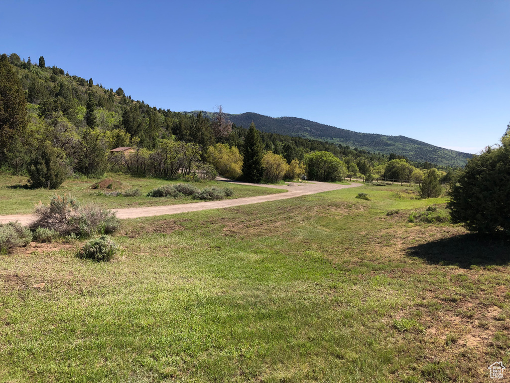 View of mountain backdrop with rural landscape and a heavily wooded area