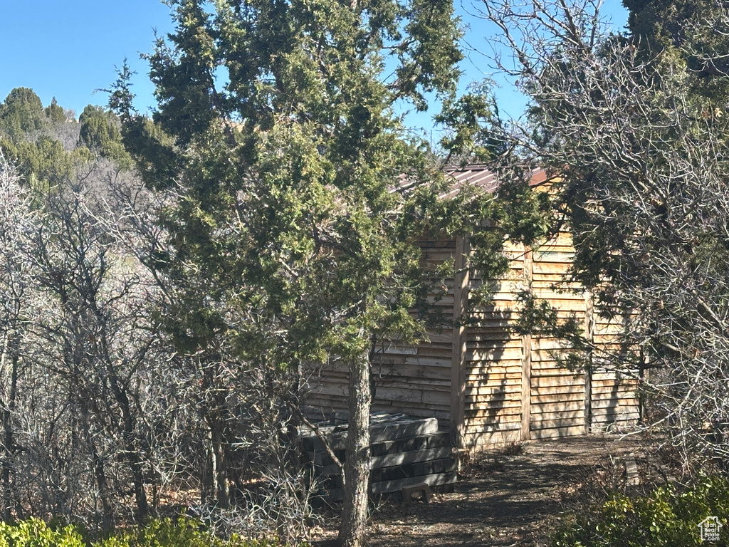 View of nature