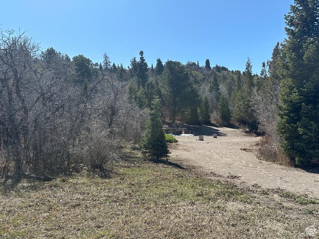 View of landscape featuring a wooded view