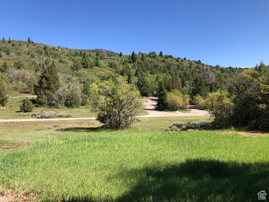View of yard featuring a wooded view