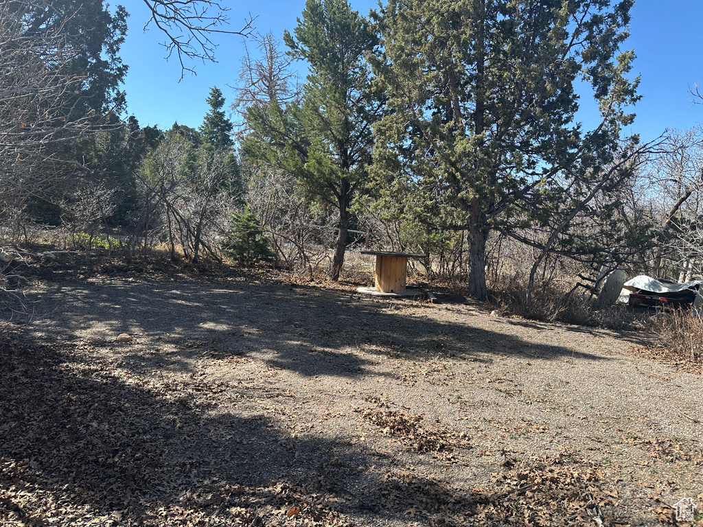 View of yard with an outdoor structure and a shed