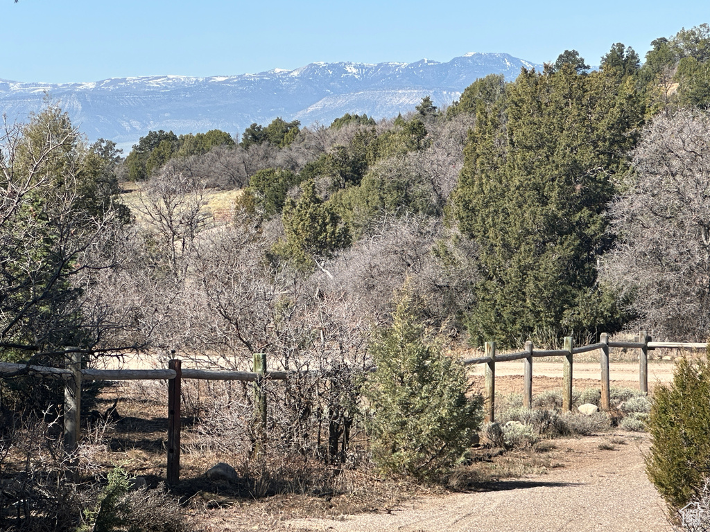 Mountain view