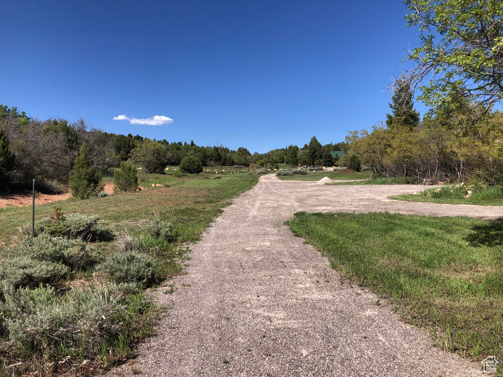 View of street with a view of rural / pastoral area and a wooded view