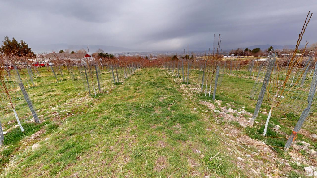 View of yard with a rural view and fence