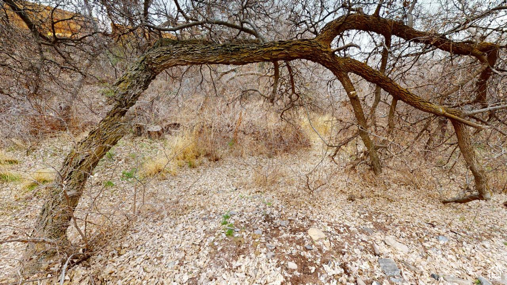 View of landscape