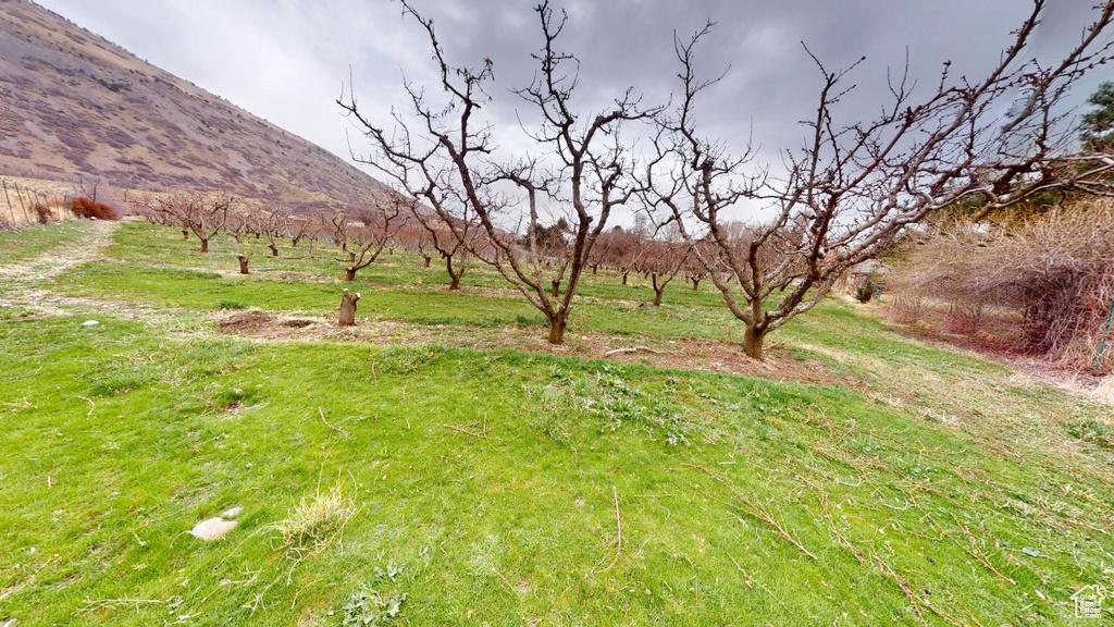 View of yard featuring a rural view and a mountain view