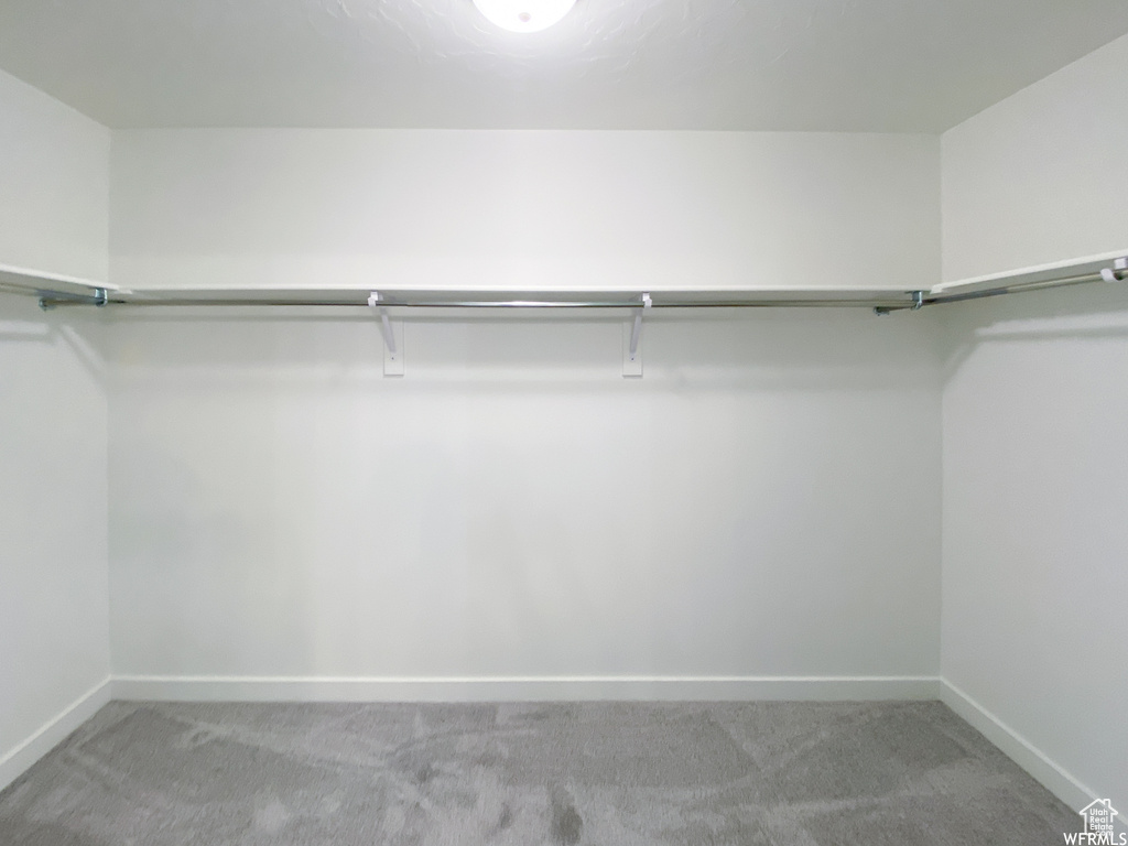 Walk in closet featuring carpet