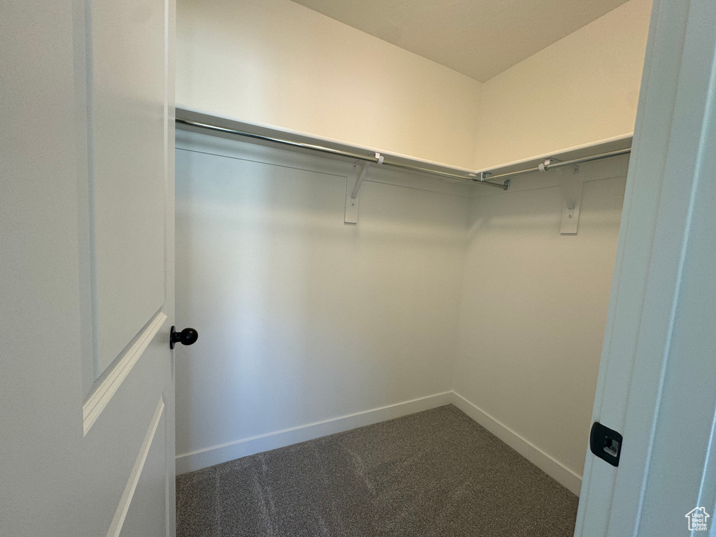 Spacious closet with dark colored carpet