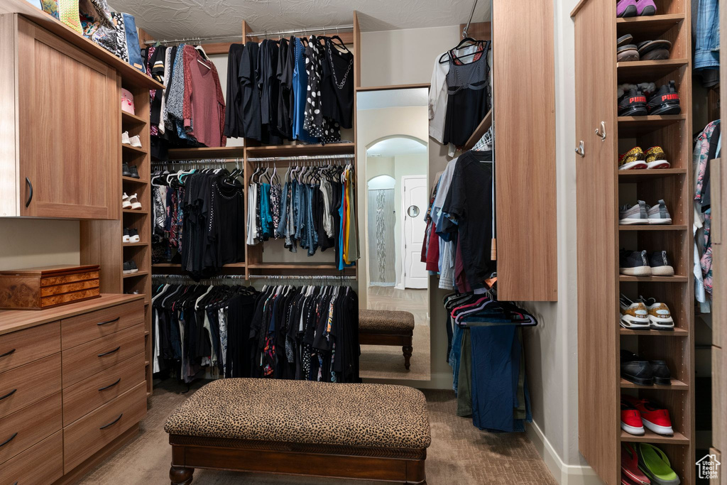 Spacious closet with arched walkways and carpet floors