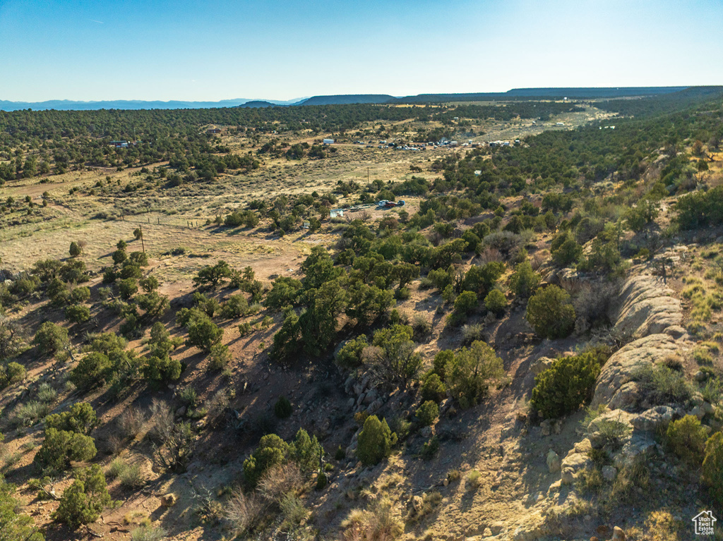 Drone / aerial view featuring a mountain view