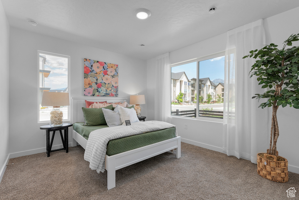 Bedroom with carpet floors, baseboards, and multiple windows