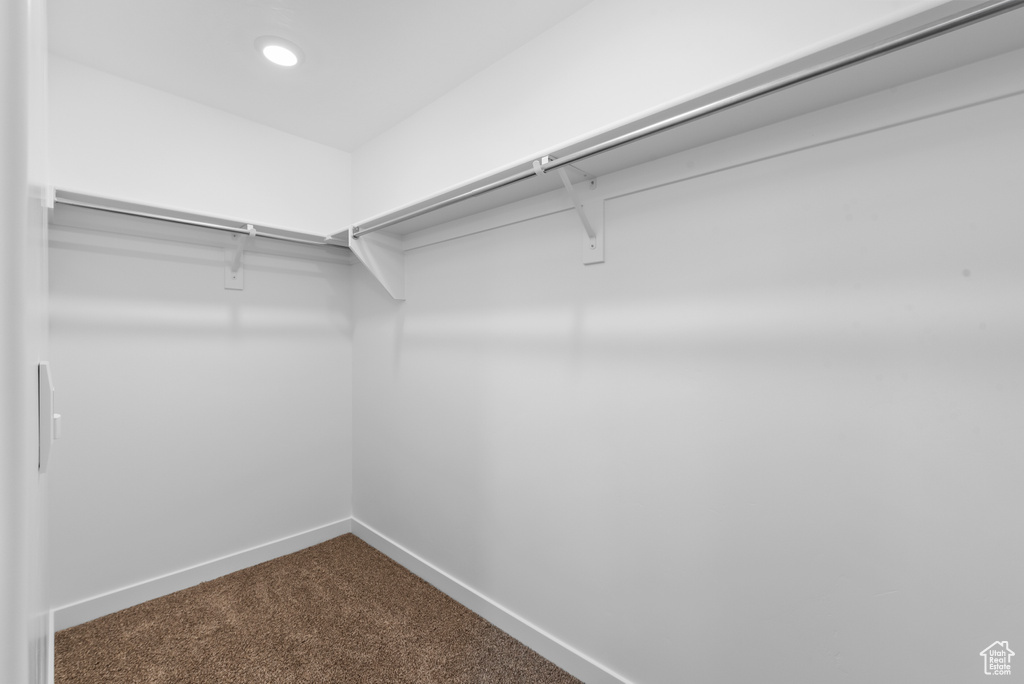 Spacious closet featuring dark carpet