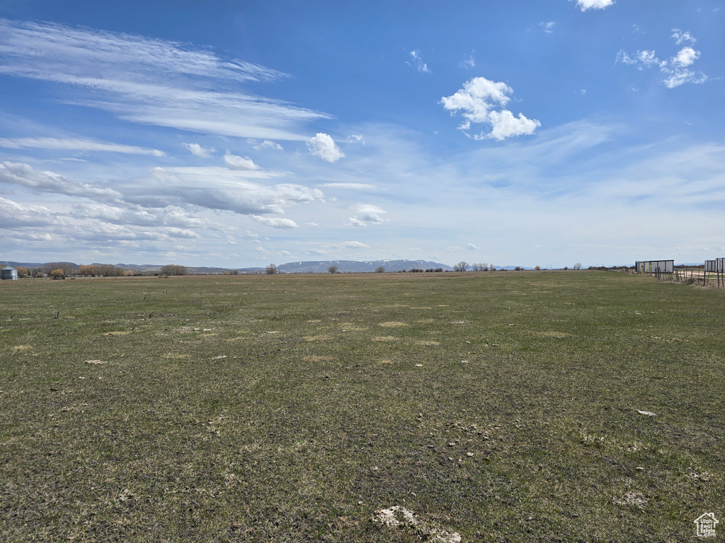 View of local wilderness with a rural view